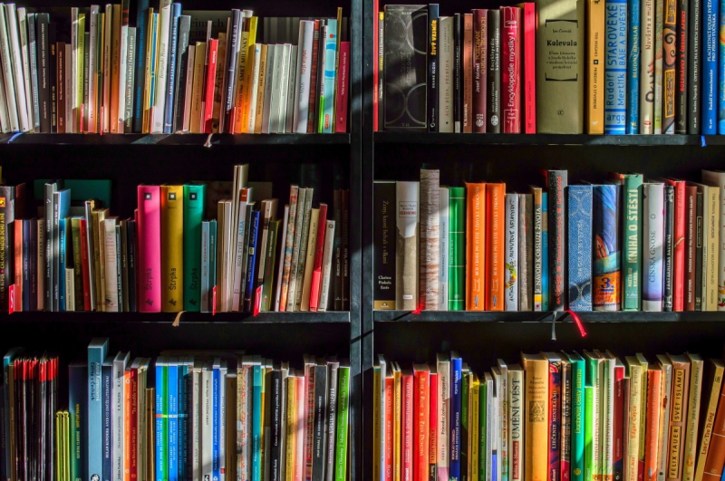 magasin-CHATEAUVERT-min_books_bookstore_book_reading_shop_writer_sale_books_read-822866
